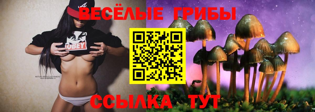 купить   Галлюциногенные грибы мухоморы  Вход с VPN  Коряжма  Галлюциногенные грибы Magic Shrooms 